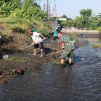 Maksimalkan Pasokan Air Pertanian, Babinsa Karangsari Dan Poktan Margomulyo Bersihkan Saluran Irigasi