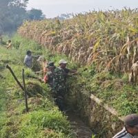 Bersihkan Saluran Irigasi Sawah, Sertu Yudha Gotong Royong Bersama Warga Desa Ngreco