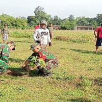 Peduli Lingkungan Sertu M. Ayub Bersama Warga Tlumpu Laksanakan Penghijauan Tanam Pohon Akasia