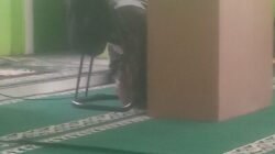 Ketua LDTQN Sumedang DR. H.Asep Hamdan Munawar,M.Si Tekankan Agar Ikhwan Akhwat TQN Agar Sungguh-Sungguh Amaliyahkan Ajaran TQN