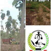 Tambang Ilegal Tak Disentuh, Publik Curiga Ada Ruang Aman dari Negara