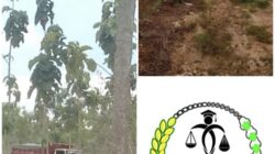 Tambang Ilegal Tak Disentuh, Publik Curiga Ada Ruang Aman dari Negara