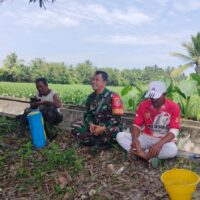 TNI Makin Dekat Dengan Rakyat, Babinsa Koramil Penajam Gelar Komsos di Pinggir Sawah