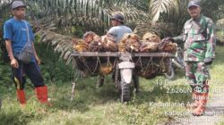 PT. Agrinas Sukaramai Labura Berdayakan Pekerjakan Masyarakat Sekitar, Hadapi Tantangan Pencurian