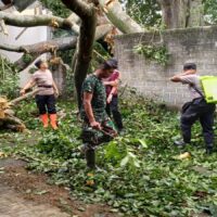 Anggota Koramil 0808/06 Srengat Bersama Warga, Polsek Dan BPBD Gotong Royong Bersihkan Pohon Tumbang Di Desa Purwokerto