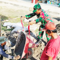 Bentuk Kepedulian, Babinsa Sidorejo Bantu Warga Bangun Jembatan