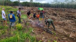 Anggota Satgas TMMD Wiltas Ke-127 Kodim 0912/Kubar Gotong Royong Bantu Warga Cari Kayu Bakar Untuk Syukuran