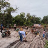 Tebar Energi Kebajikan, Kodim 0913/PPU Gelar Penanaman Pohon