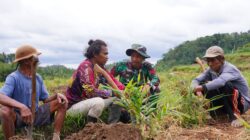 Disela Kesibukan, Satgas TMMD KE-127 Kodim 0808/Blitar Jalin Keakraban Bersama Petani Di Desa Krisik
