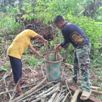 Kemanunggalan TNI dan Rakyat, Pratu Wisnu Taripino Bantu Warga Linggang Amer Cari Kayu Bakar