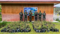 Kodim 1714/Puncak Jaya Bersama Rakyat Tanam Bibit Cemara Sebagai Generasi Mendatang Untuk Kabupaten Puncak Jaya