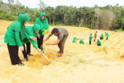 Peduli Lingkungan, Persit KCK Cabang LXV Kodim 0913/PPU Tanam Pohon Produktif dan Pelindung