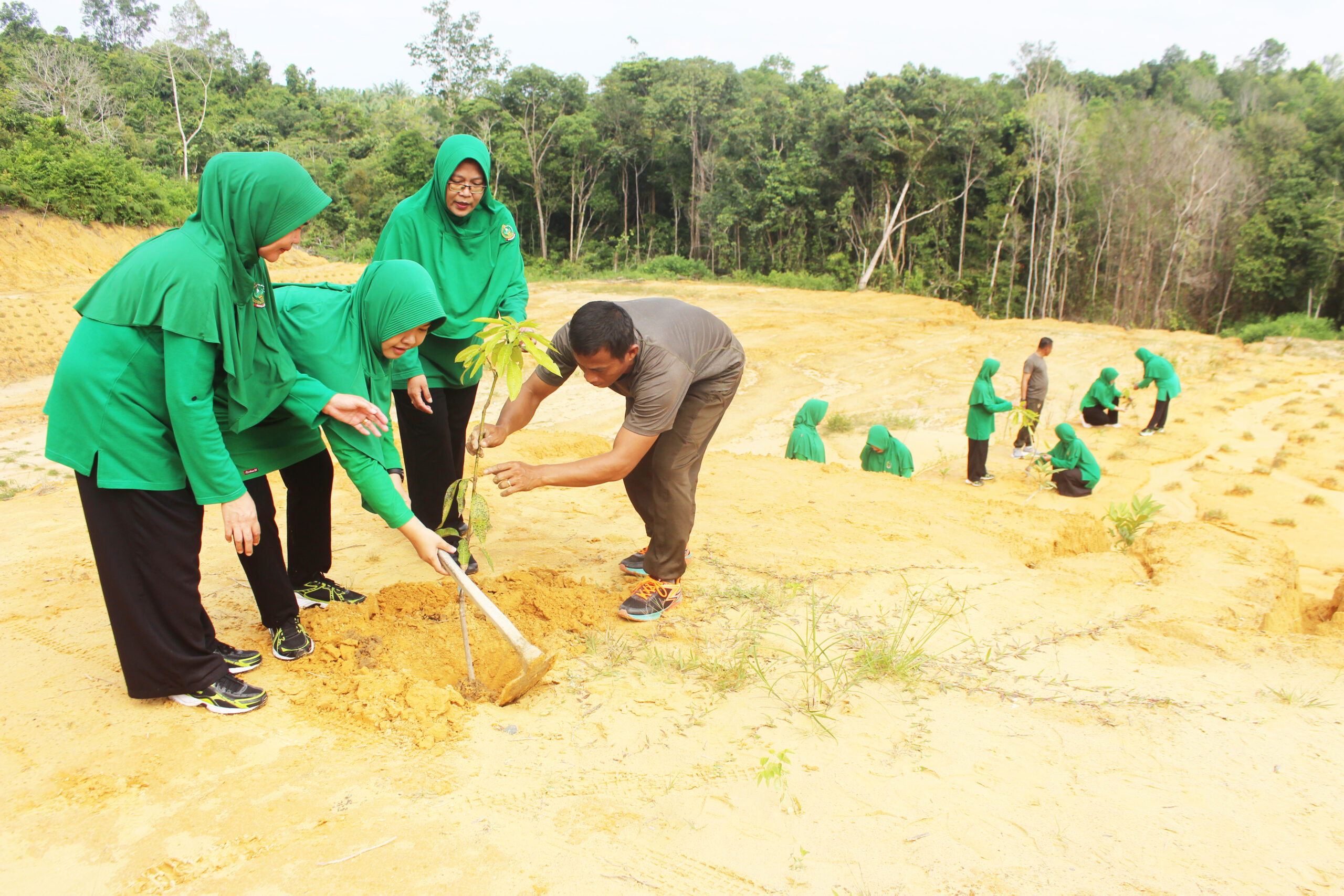 Peduli Lingkungan, Persit KCK Cabang LXV Kodim 0913/PPU Tanam Pohon Produktif dan Pelindung