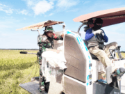 Babinsa Saloloang Bantu Petani Panen Padi Dengan Mesin Komben