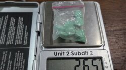 Disuruh Mertua Kirim Sabu Ke Lapas Kedungpane, Menantu Ditangkap Petugas Saat Sembunyikan Sabu di Telapak Kaki