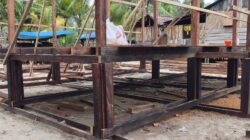 TMMD Ke-128 Kodim 1710/Mimika Gunakan Kayu Besi Berkualitas untuk Bangun Rumah Layak Huni di Kampung Keakwa