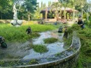 Babinsa Ngadirejo Bersama Warga Gelar Kerja Bakti di Wisata Rohani Goa Maria Sendang Rejo