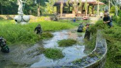 Kegiatan