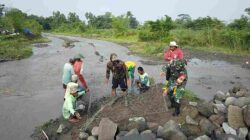 Demi Kelancaran Irigasi Pertanian, Babinsa Kamulan Dampingi Pembersihan Sungai Sodetan Kaliputih Demi Kelancaran Irigasi Pertanian, Babinsa Kamulan Dampingi Pembersihan Sungai Sodetan Kaliputih