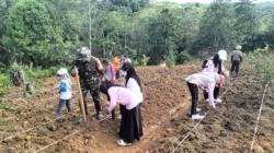 Dukung Ketahanan Pangan, Danramil Sepaku dan Kapolsek Tanam Jagung Pipil