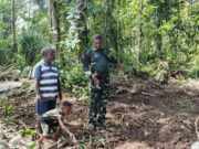 Satgas TMMD Ke-128 Kodim 1801/Manokwari Buka Lahan 2 Hektar untuk Program Tanam Kakao
