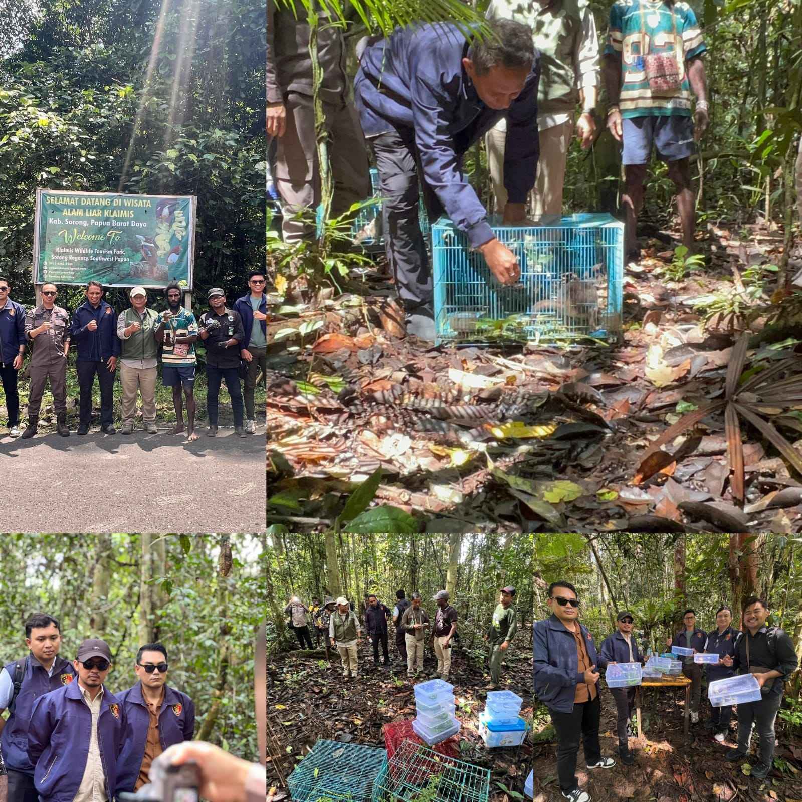 Krimsus Polda PBD Selamatkan dan Kembalikan 17 Satwa di Lindungi ke Habitatnya