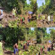 Bersama Warga, Satgas TMMD Ke-128 Kodim 1801/Manokwari Bersihkan Lahan 2 Hektare untuk Tanam Kakao