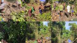 Bersama Warga, Satgas TMMD Ke-128 Kodim 1801/Manokwari Bersihkan Lahan 2 Hektare untuk Tanam Kakao