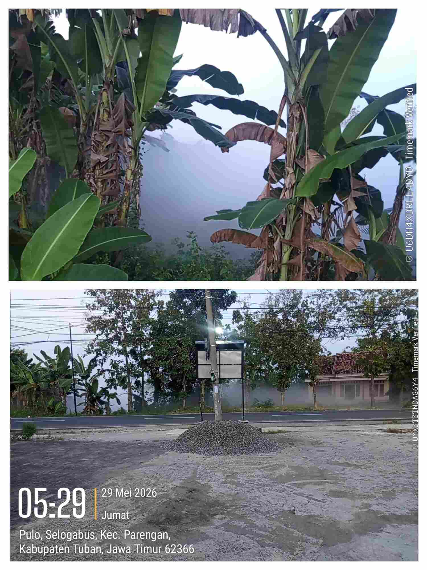 Warga Selogabus Ramai-Ramai Soroti Asap Berbau Gas dari Area PT NESR Warga Selogabus Ramai-Ramai Soroti Asap Berbau Gas dari Area PT NESR