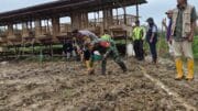 Babinsa Sepaku Bersama Instansi Terkait Tanam Jagung Pipil