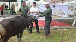 Wujud Kepedulian Dan Keiklasan, Dandim 0913/PPU Serahkan 3 Ekor Sapi Kepada Pantia Kurban