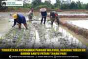 Tingkatkan Ketahanan Pangan Wilayah, Babinsa Turun ke Sawah Bantu Petani Tanam Padi