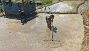 Sinergi Ketahanan Pangan, Babinsa Selorejo Turun Ke Sawah Bantu Warga Siapkan Lahan Padi