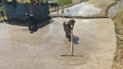 Sinergi Ketahanan Pangan, Babinsa Selorejo Turun Ke Sawah Bantu Warga Siapkan Lahan Padi