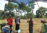 Dukung Ketahanan Pangan, Babinsa Kaweron Bersama Poktan Ngudibogo III Rencanakan Kerja Bakti Irigasi