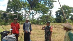 Dukung Ketahanan Pangan, Babinsa Kaweron Bersama Poktan Ngudibogo III Rencanakan Kerja Bakti Irigasi