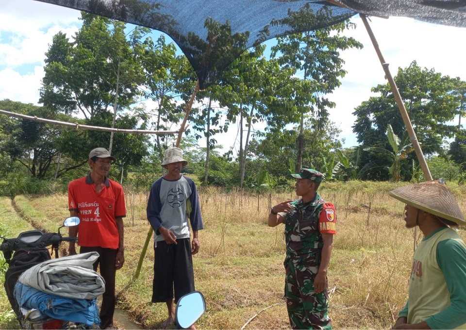 Dukung Ketahanan Pangan, Babinsa Kaweron Bersama Poktan Ngudibogo III Rencanakan Kerja Bakti Irigasi Dukung Ketahanan Pangan, Babinsa Kaweron Bersama Poktan Ngudibogo III Rencanakan Kerja Bakti Irigasi