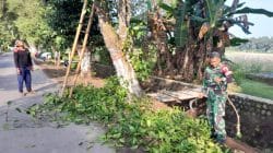 Wujud Kemanunggalan TNI, Babinsa Ngoran Pelopori Gotong Royong Bersihkan Jalan Desa Wujud Kemanunggalan TNI, Babinsa Ngoran Pelopori Gotong Royong Bersihkan Jalan Desa