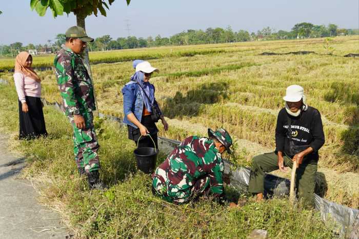 Pembinaan Lingkungan Hidup, Kodim Bojonegoro Tanam Ribuan Pohon Kayu Putih dan Balsa Pembinaan Lingkungan Hidup, Kodim Bojonegoro Tanam Ribuan Pohon Kayu Putih dan Balsa
