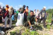 Peduli Kelestarian Ekosistem Pesisir,Dandim 0913/PPU Bersama Pemerintah Daerah Lakukan Aksi Bersih Pantai