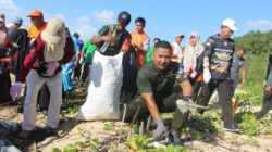 Peduli Kelestarian Ekosistem Pesisir,Dandim 0913/PPU Bersama Pemerintah Daerah Lakukan Aksi Bersih Pantai