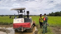 Pererat Talisilahturrahmi, Babinsa Saloloang Komsos dengan Petani di Sawah