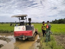 Pererat Talisilahturrahmi, Babinsa Saloloang Komsos dengan Petani di Sawah