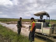 Pererat Talisilahturrahmi, Babinsa Saloloang Komsos dengan Petani di Sawah Pererat Talisilahturrahmi, Babinsa Saloloang Komsos dengan Petani di Sawah