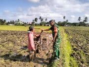 Pererat Kedekatan Dengan Petani, Babinsa Saloloang Komsos Di Sawah