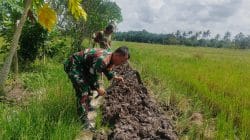 Komsos di Pinggir Sawah, Babinsa Sidorejo Pererat Kebersamaan Bersama Petani