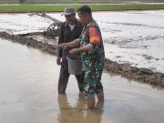 Babinsa Koramil 01/Penajam Bantu Petani Tabur Benih Padi