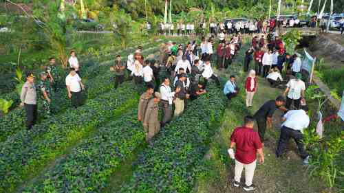 Dandim 0913/PPU Dampingi Gubernur Kaltim Tanam Perdana Kelapa Genjah