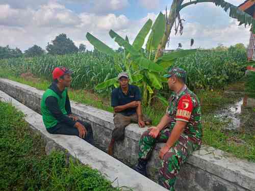 Serap Aspirasi Petani, Sertu Yudhi Rimba Gelar Komsos Ketahanan Pangan Bersama Poktan Kembang Kuning Serap Aspirasi Petani, Sertu Yudhi Rimba Gelar Komsos Ketahanan Pangan Bersama Poktan Kembang Kuning