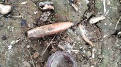 Dua Tewas, Satu Luka Berat dalam Ledakan Mortir di Kampung Ciparang Bandung Barat